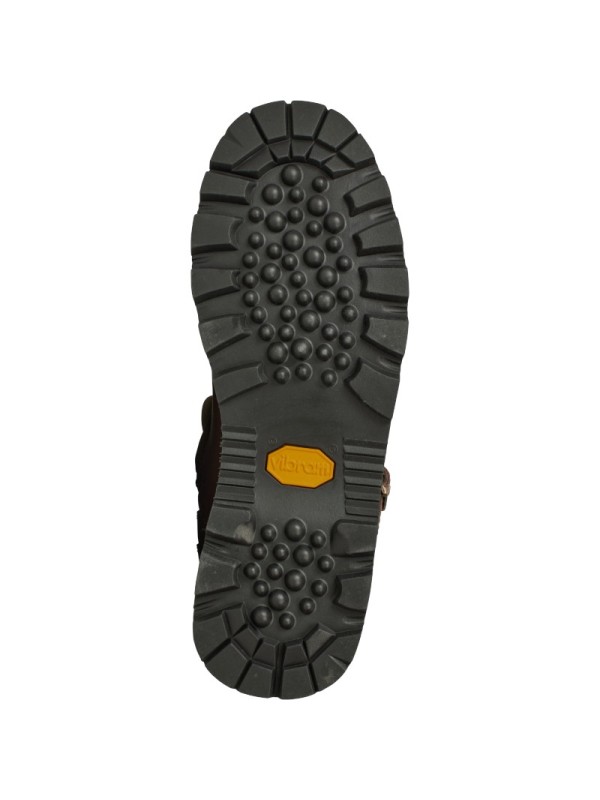 Bottes cuir Visent 2.0 GTX Härkila marron